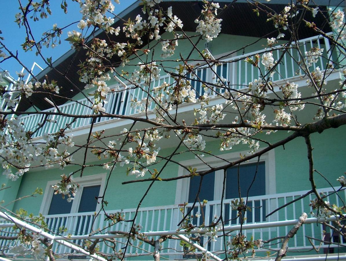 Pansion Devotions Hotel Međugorje Exterior foto
